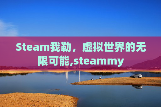 Steam我勒，虚拟世界的无限可能,steammy