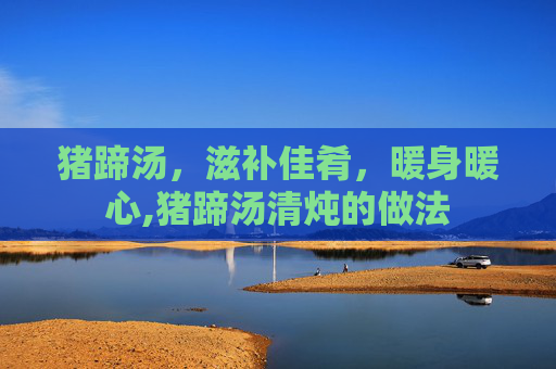 猪蹄汤，滋补佳肴，暖身暖心,猪蹄汤清炖的做法