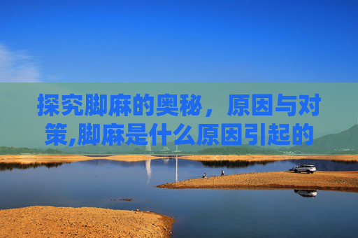 探究脚麻的奥秘，原因与对策,脚麻是什么原因引起的 女性