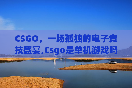 CSGO，一场孤独的电子竞技盛宴,Csgo是单机游戏吗