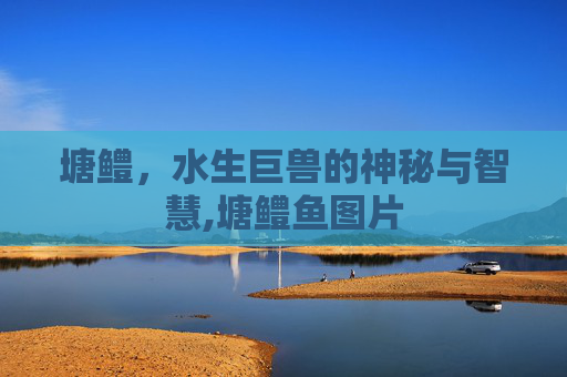 塘鳢，水生巨兽的神秘与智慧,塘鳢鱼图片