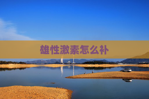 雄性激素怎么补