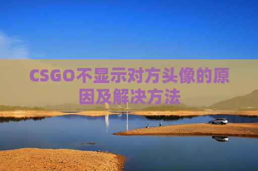 CSGO不显示对方头像的原因及解决方法