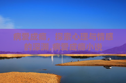 病爱成瘾，探索心理与情感的深渊,病爱成瘾小说
