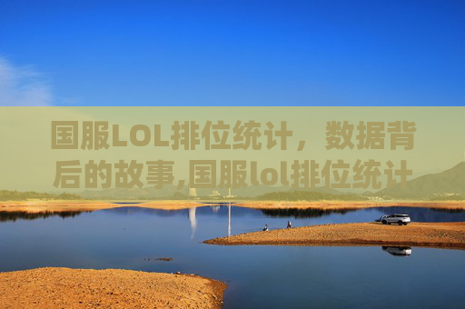 国服LOL排位统计，数据背后的故事,国服lol排位统计在哪看