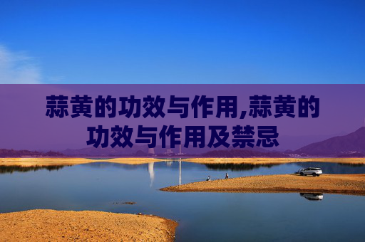 蒜黄的功效与作用,蒜黄的功效与作用及禁忌