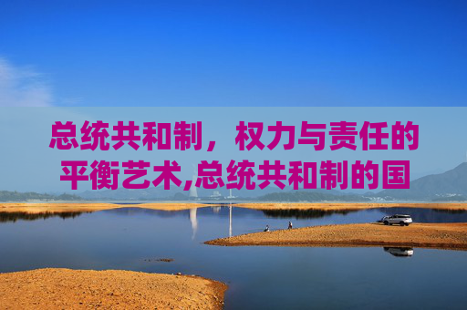 总统共和制，权力与责任的平衡艺术,总统共和制的国家
