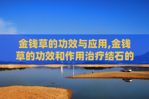金钱草的功效与应用,金钱草的功效和作用治疗结石的方子