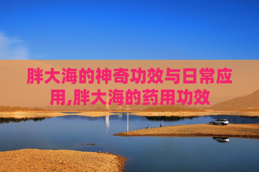 胖大海的神奇功效与日常应用,胖大海的药用功效