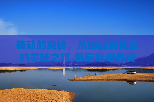 蕃茄的奥秘，从田间到餐桌的美味之旅,蕃茄唱听免费