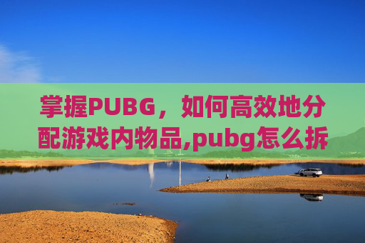 掌握PUBG，如何高效地分配游戏内物品,pubg怎么拆分物品