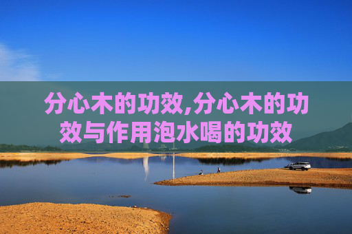 分心木的功效,分心木的功效与作用泡水喝的功效