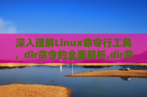 深入理解Linux命令行工具，dir命令的全面解析,dir命令的用法