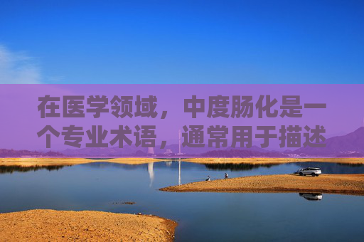在医学领域，中度肠化是一个专业术语，通常用于描述肠道内壁细胞的形态变化。这种变化可能与多种疾病有关，包括炎症性肠病、肠息肉、肠癌等。本文将探讨中度肠化的成因、影响以及如何预防和治疗。,中度肠化能治好吗