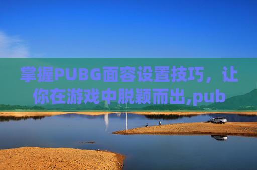 掌握PUBG面容设置技巧，让你在游戏中脱颖而出,pubg绝地求生好看的面容