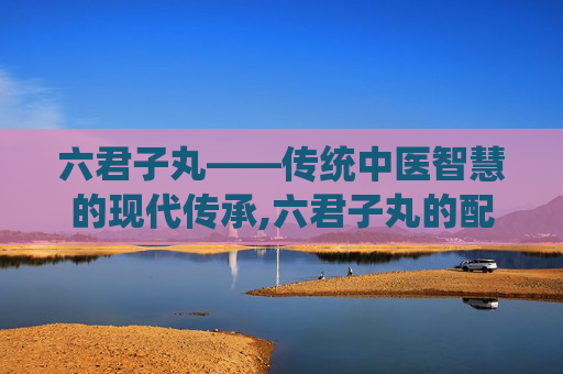 六君子丸——传统中医智慧的现代传承,六君子丸的配方组成