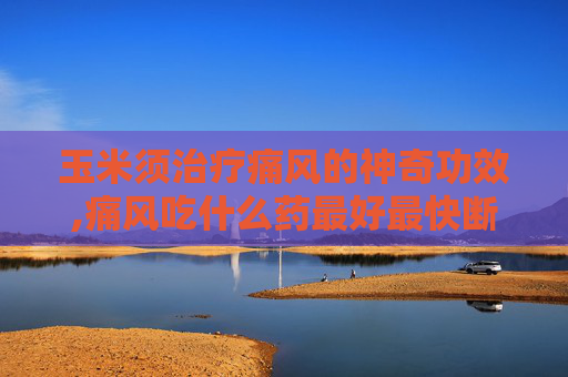 玉米须治疗痛风的神奇功效,痛风吃什么药最好最快断根