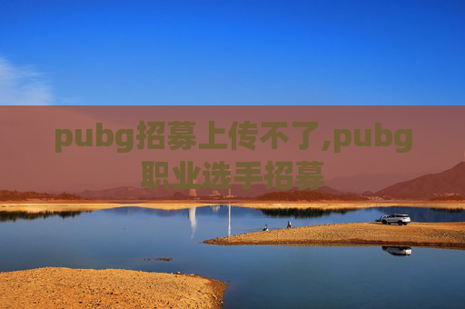 pubg招募上传不了,pubg职业选手招募
