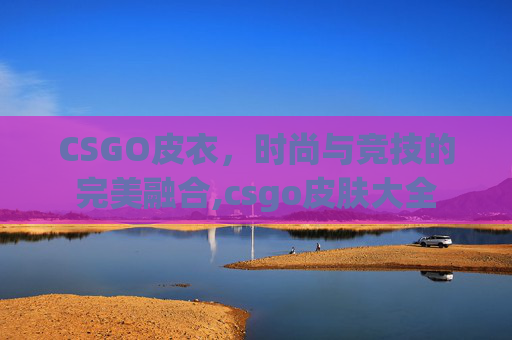 CSGO皮衣，时尚与竞技的完美融合,csgo皮肤大全