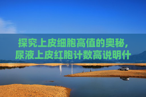 探究上皮细胞高值的奥秘,尿液上皮红胞计数高说明什么