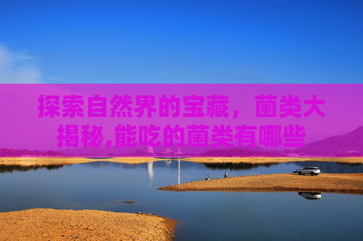 探索自然界的宝藏，菌类大揭秘,能吃的菌类有哪些