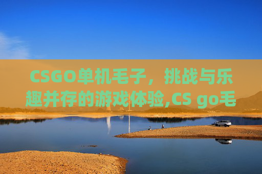 CSGO单机毛子，挑战与乐趣并存的游戏体验,CS go毛子自创版本下载