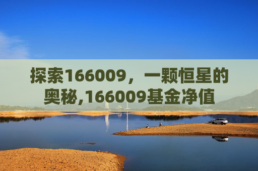 探索166009，一颗恒星的奥秘,166009基金净值