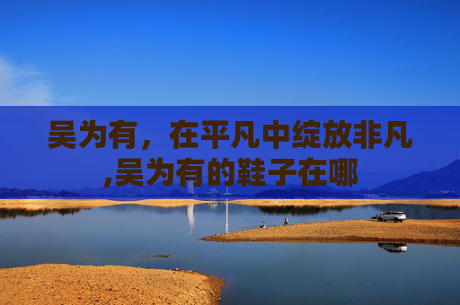 吴为有，在平凡中绽放非凡,吴为有的鞋子在哪
