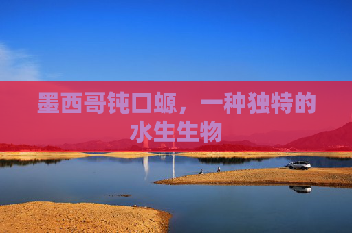 墨西哥钝口螈，一种独特的水生生物