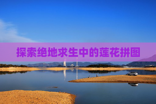 探索绝地求生中的莲花拼图