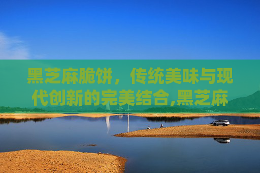 黑芝麻脆饼，传统美味与现代创新的完美结合,黑芝麻脆饼的做法