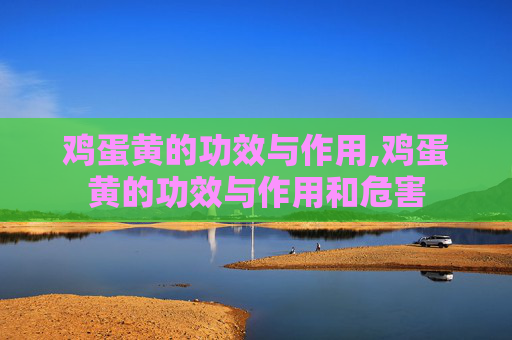 鸡蛋黄的功效与作用,鸡蛋黄的功效与作用和危害