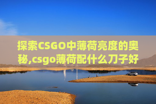 探索CSGO中薄荷亮度的奥秘,csgo薄荷配什么刀子好看