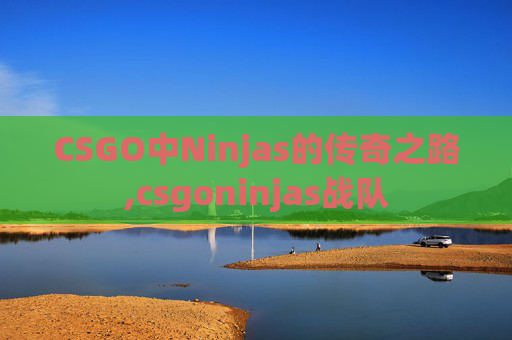 CSGO中Ninjas的传奇之路,csgoninjas战队