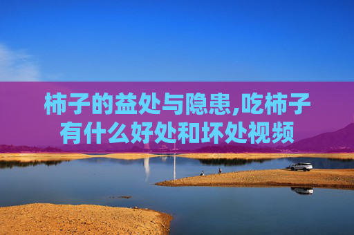 柿子的益处与隐患,吃柿子有什么好处和坏处视频