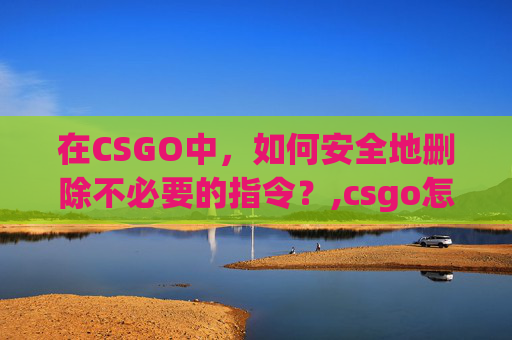 在CSGO中，如何安全地删除不必要的指令？,csgo怎么清楚所有指令