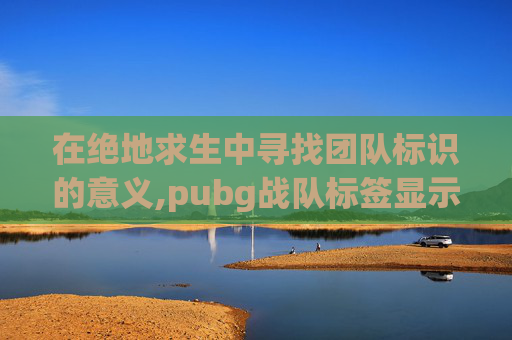 在绝地求生中寻找团队标识的意义,pubg战队标签显示