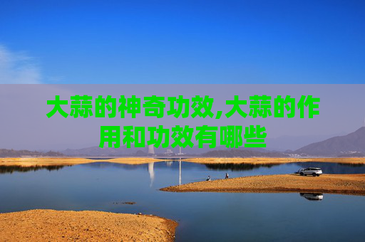 大蒜的神奇功效,大蒜的作用和功效有哪些