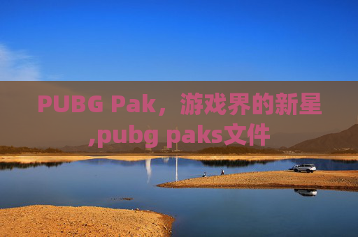 PUBG Pak，游戏界的新星,pubg paks文件