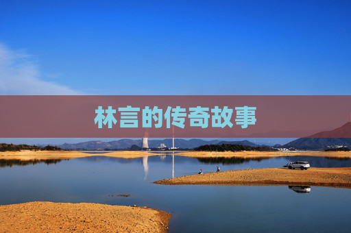 林言的传奇故事