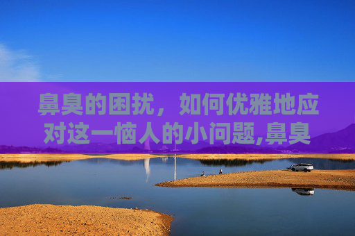 鼻臭的困扰，如何优雅地应对这一恼人的小问题,鼻臭什么原因