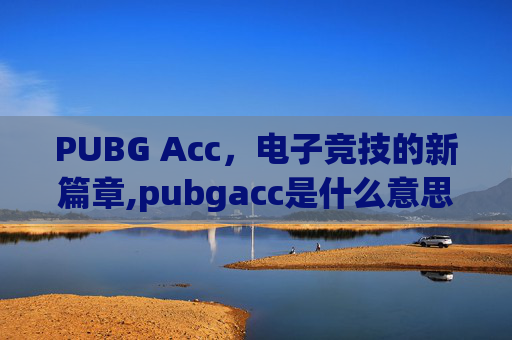 PUBG Acc，电子竞技的新篇章,pubgacc是什么意思