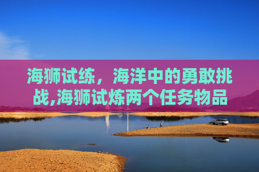 海狮试练，海洋中的勇敢挑战,海狮试炼两个任务物品位置
