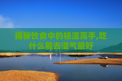 揭秘饮食中的祛湿高手,吃什么能去湿气最好