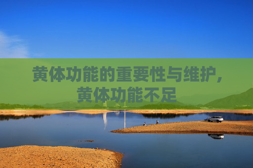 黄体功能的重要性与维护,黄体功能不足