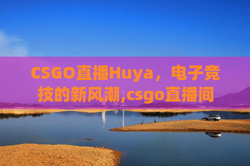 CSGO直播Huya，电子竞技的新风潮,csgo直播间