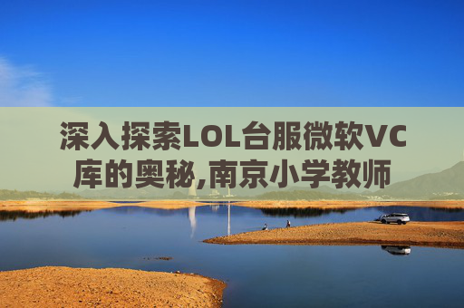 深入探索LOL台服微软VC库的奥秘,南京小学教师
