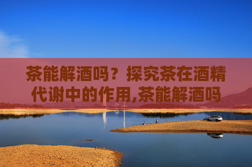 茶能解酒吗？探究茶在酒精代谢中的作用,茶能解酒吗?