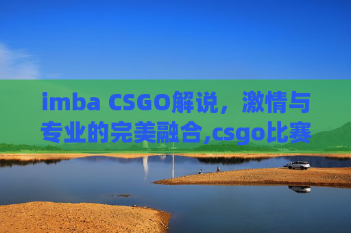 imba CSGO解说，激情与专业的完美融合,csgo比赛解说