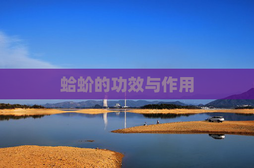 蛤蚧的功效与作用
